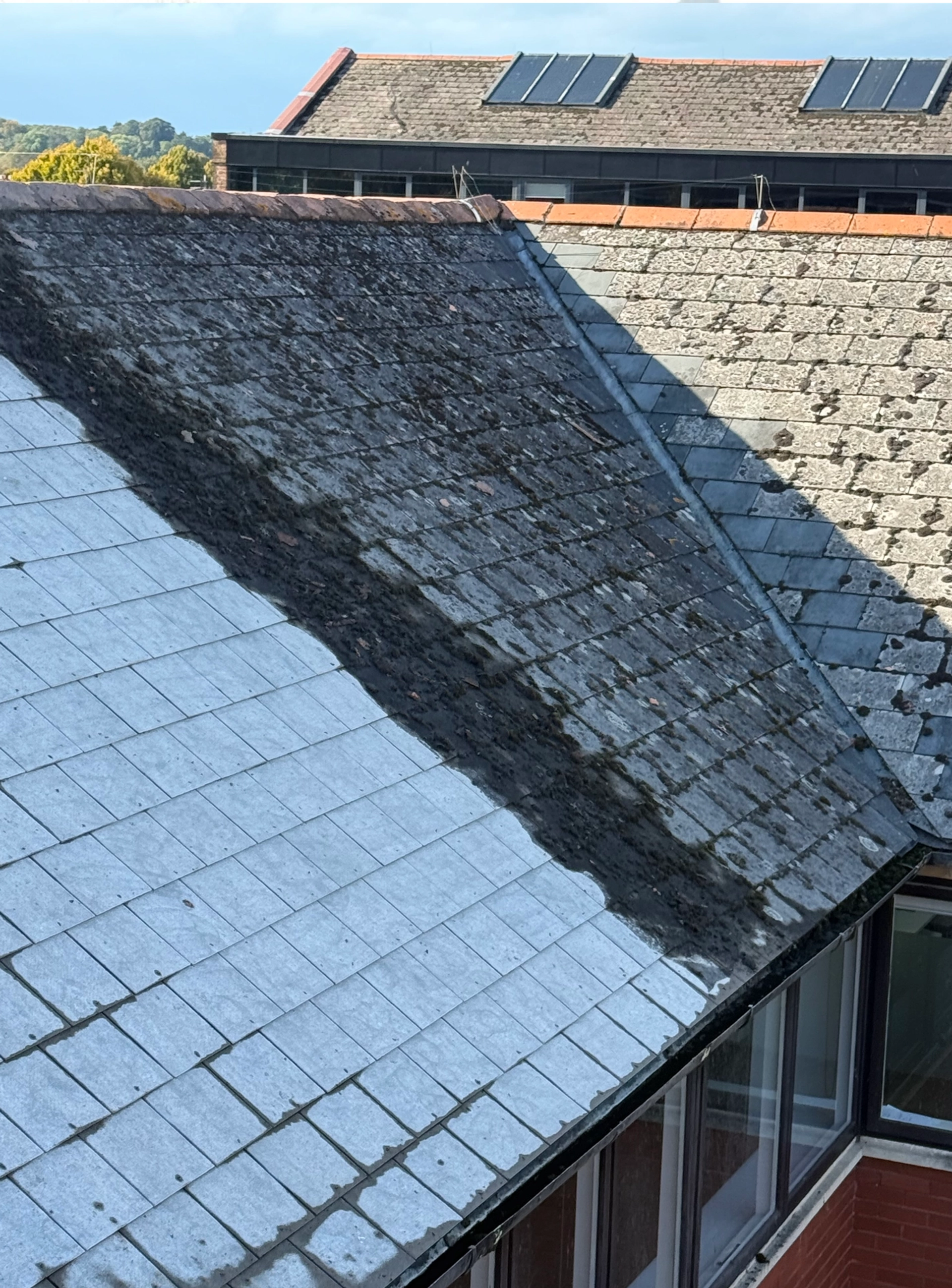 Roof cleaning example 1